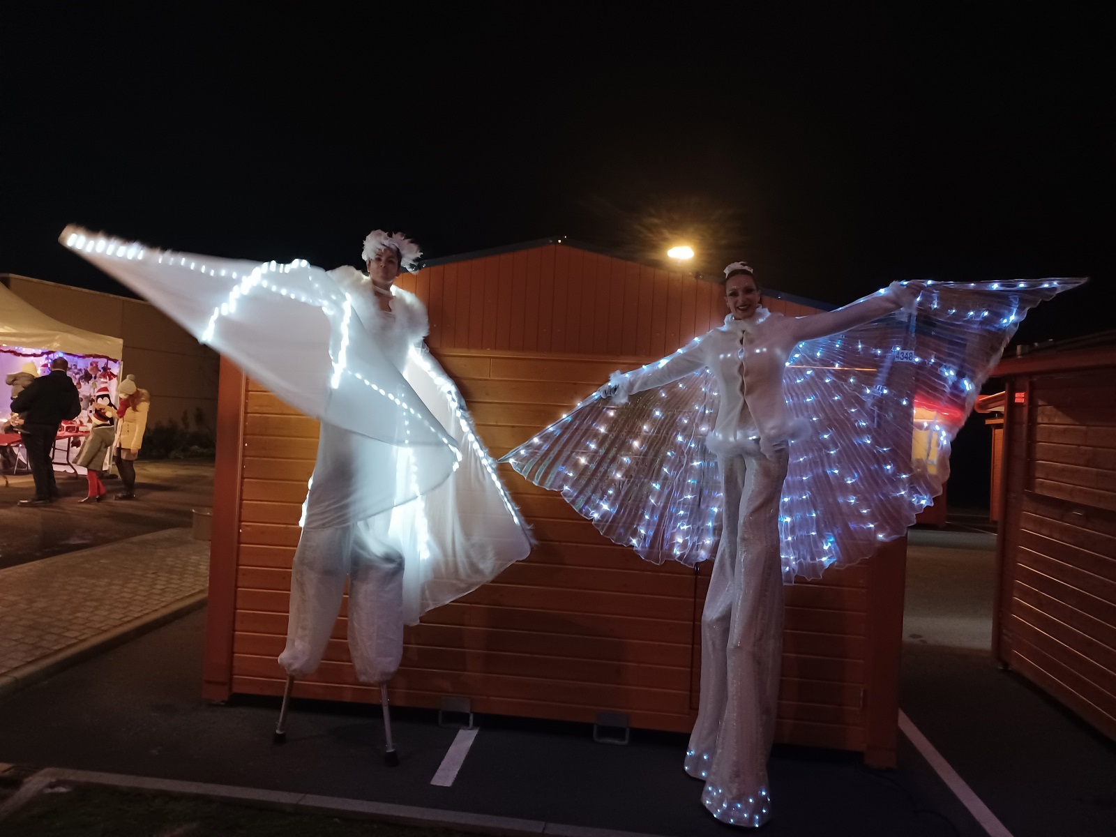 Échassiers Lumineux