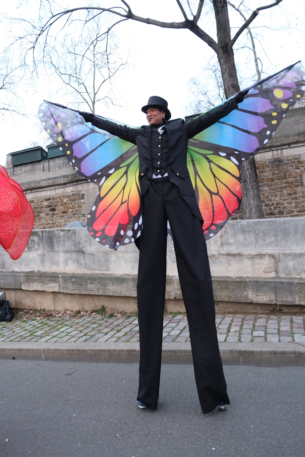 Echassiers Fleur et Papillon